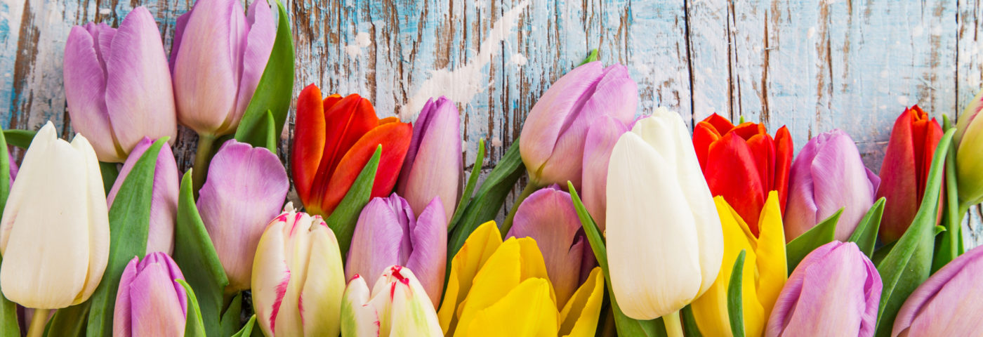 Celebrate Spring with beautiful flowers!