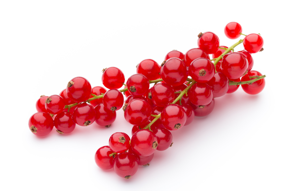 Red Currants