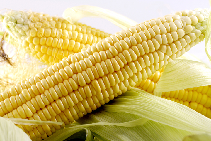 Local Corn