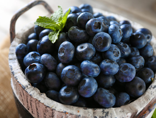 Local Blueberries