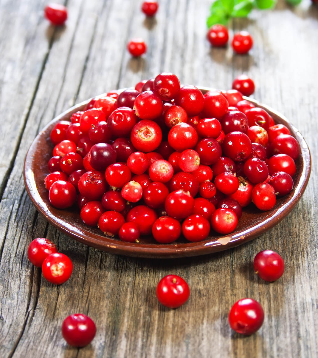 Cranberries