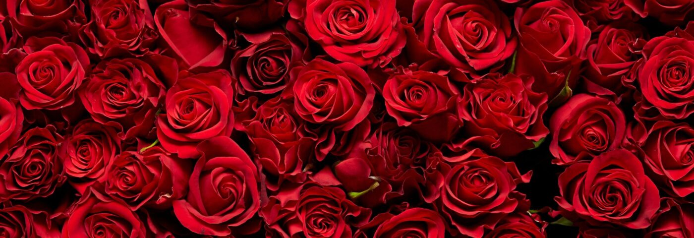 Valentine's Day Items 2026