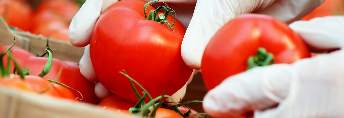 Food Safety