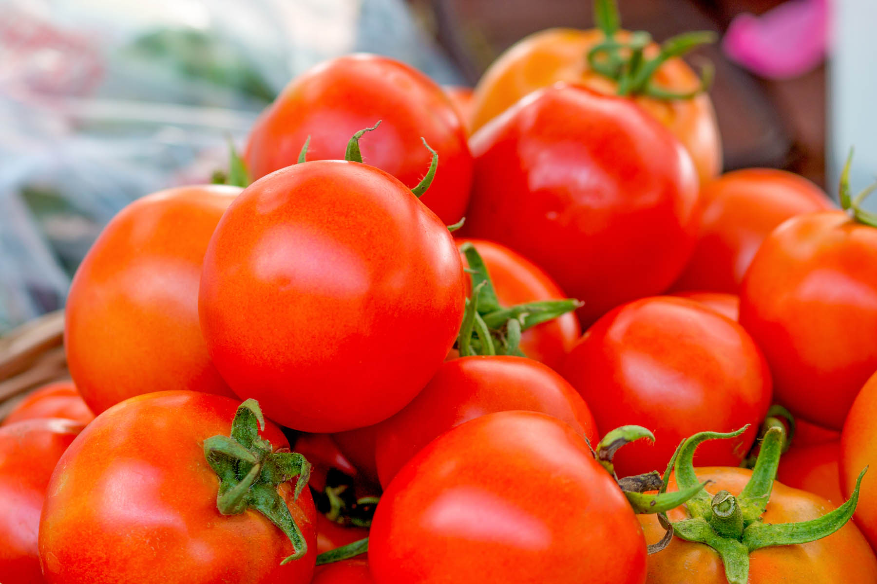 Local Tomatoes